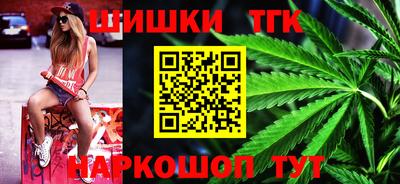 индика Усть-Джегута
