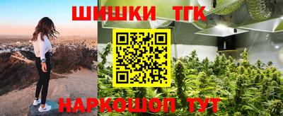 индика Усть-Джегута