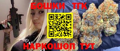 индика Усть-Джегута