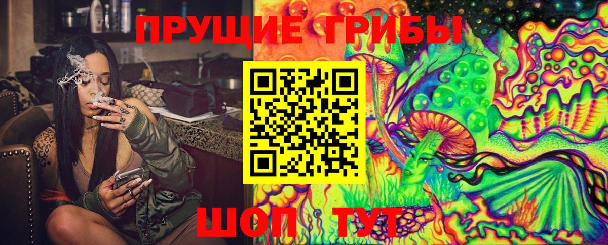 Галлюциногенные грибы Cubensis  Вход с VPN  Назрань  Галлюциногенные грибы GOLDEN TEACHER 